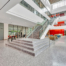 UNIVERSITY OF HOUSTON COLLEGE OF MEDICINE